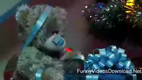 Christmas Celebration Teddy