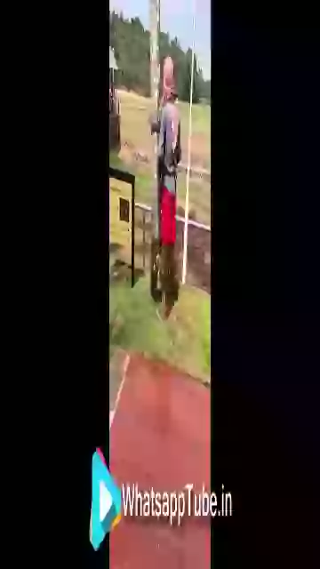 Climbing On Tree Made Easy