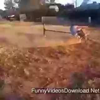 Crazy Bike Ride Funny Experience With Gravity