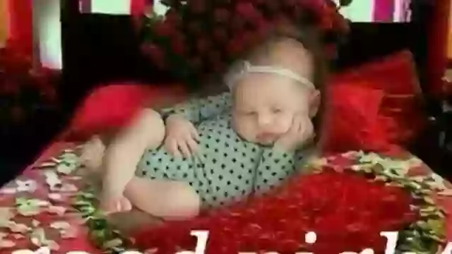 Cute Good Night Video Status For Whatsapp