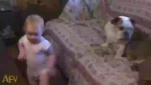 Cute boy shouting on Dog