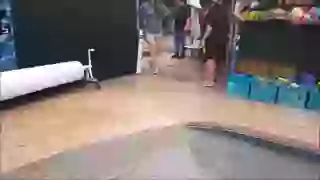 Cute puppies swim for the first time