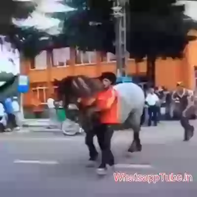 Damn that must have hurt