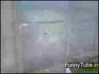 Darwin award goes to