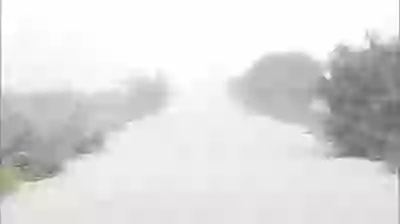 Defeat Pollution Before Too Late