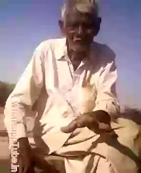 Dilwale dialogue dubbed