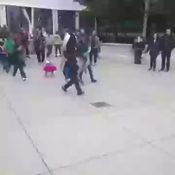 Dinasor Baby is still alive