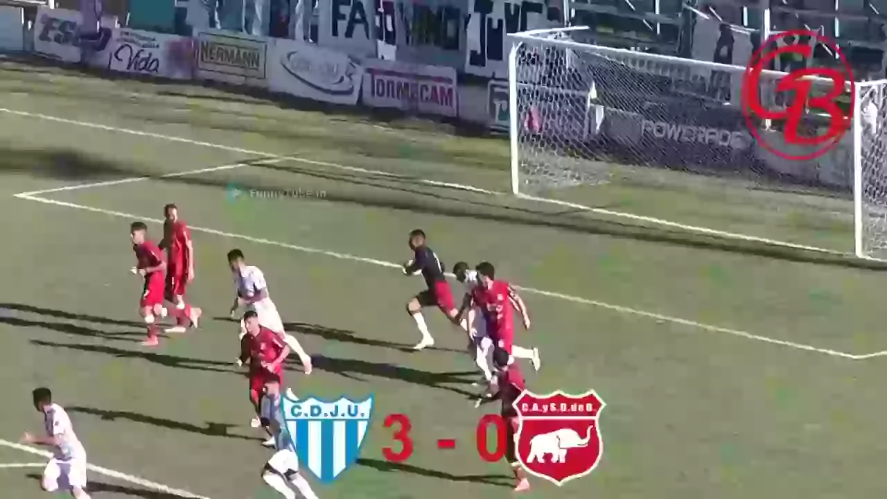 Dog Saves Goal In Football Funny Football Moment