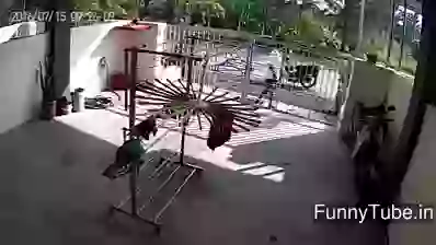 Dophr Me Kimti Chiz Ki Chori