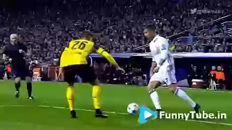 Even Trick The Cameraman Amazing GIF