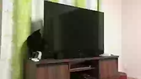 Funny Tamil Whatsapp Status mp4 Download