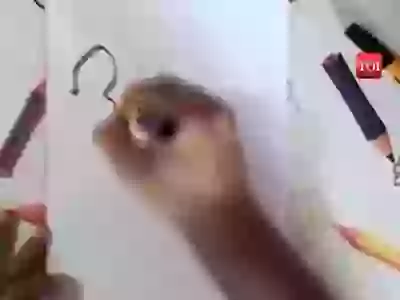 Face of bahubali on paper amazing art