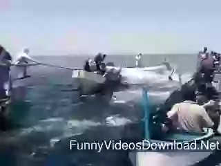 Fish Fountain In Middle Of Sea