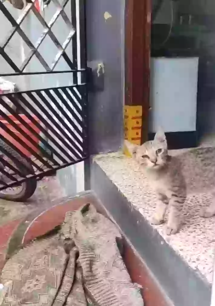 Flirt With Hot Girl Funny Fail Video