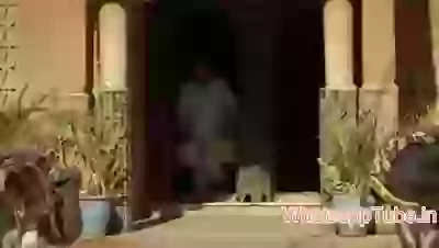 Found My Donkey Finally