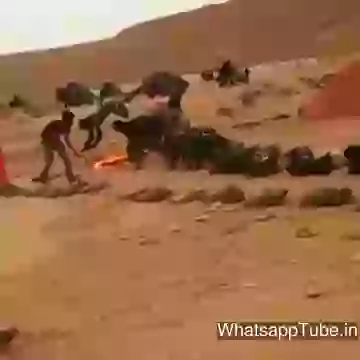 Full Result On Army Training LOL