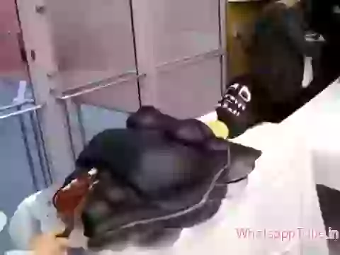 Funny Cake Celebration