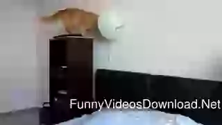 Funny Cate Playing With Balloon