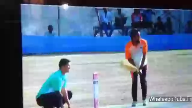 Funny Cricket Fail Ever You Seen