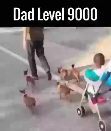Funny Dad Level 9000