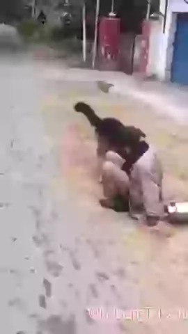 Funny Fail But Good Reverse Video