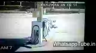 Funny Fail Donkey Cart On Sharp Turn