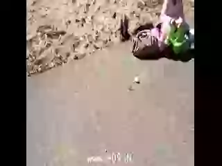 Funny Fail From Nature