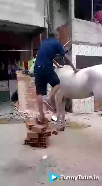 Funny Fail Get on Horse GIF