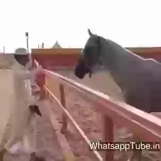 Funny Fail Karni vs Bharni