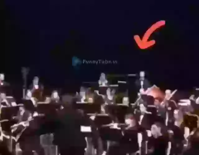 Funny Fail Video 2019 Try Not To Laugh