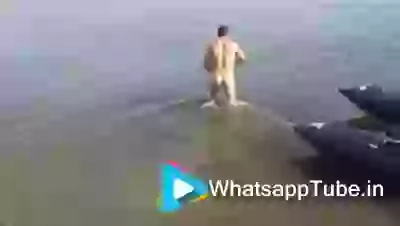 Funny Fish Having A Dish