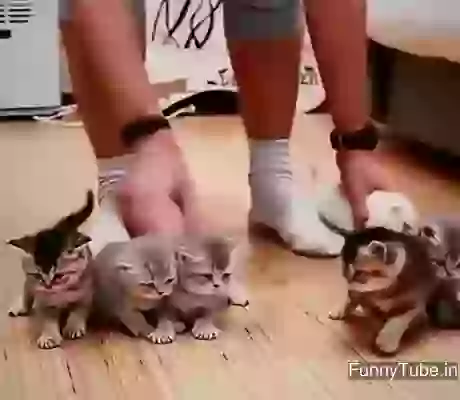 Funny Friends trying to pose for a picture