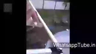 Funny Girl fail from window shade