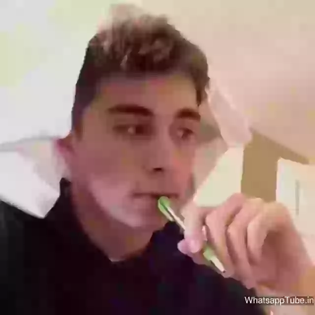 Funny Moments With Cat