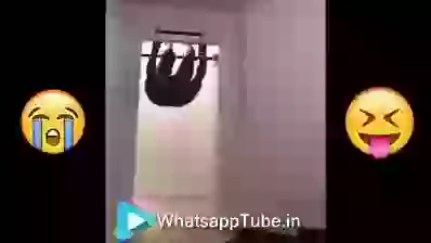 Funny Pushup Fail LOL