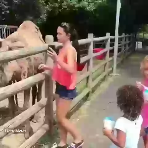 Funny Selfies Fail Hahaha Video