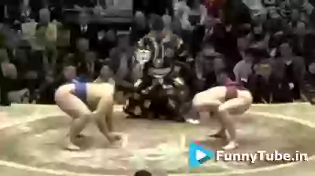 Funny Sumo Fight Win Ever GIF