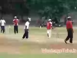 Funny Umpire