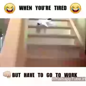 Funny Video When You Tired N Go Work