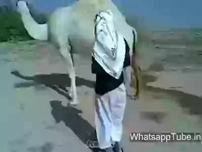 Funny You Cant Go Through Legs