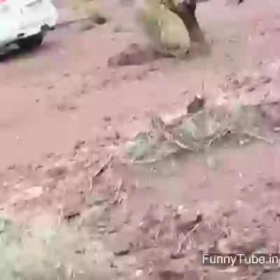 Funny car pulling fail