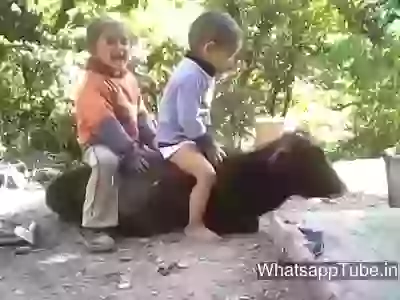 Funny kids fail video