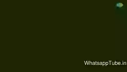 Future Of Freedom251 Funny Video