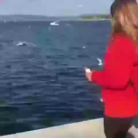 Vacation Ka Asli Maza Funny Status Video