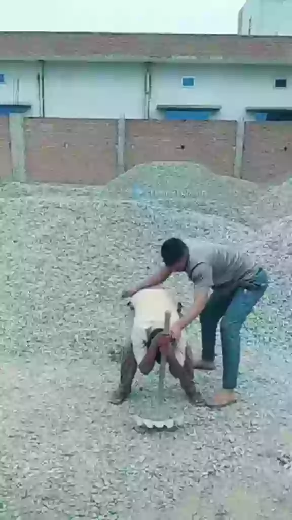 Best Selfie Video Ever For Girls Status