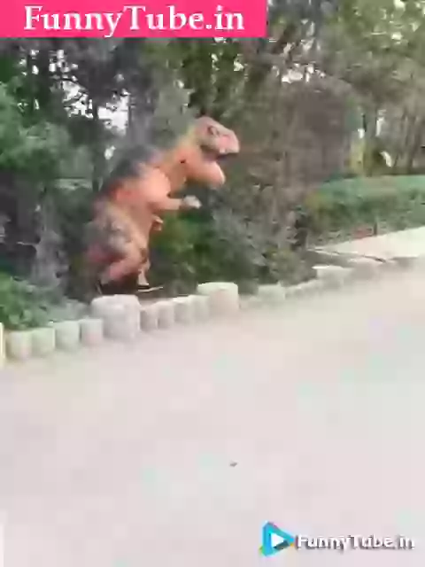 Giraff Prank Video Funny