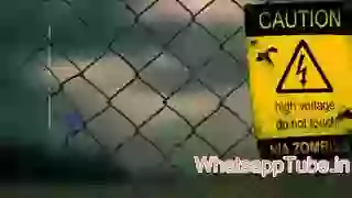 Girls Fighting like hell