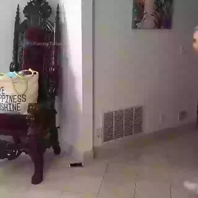 Girls Party Be Like Funny Boys Status Video Downlaod