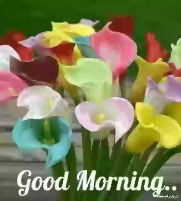 Good Morning Amazing Whatsapp GIF Status
