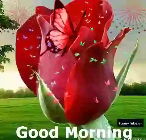 Good Morning Animated Status GIF